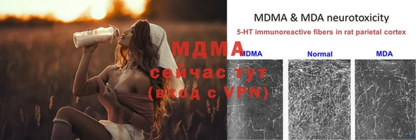 спайс Алзамай