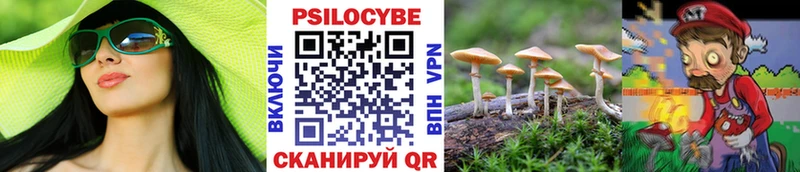 Галлюциногенные грибы Psilocybine cubensis  Гдов 